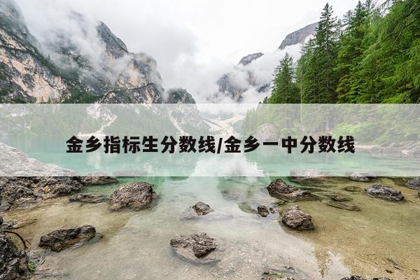 金乡指标生分数线/金乡一中分数线