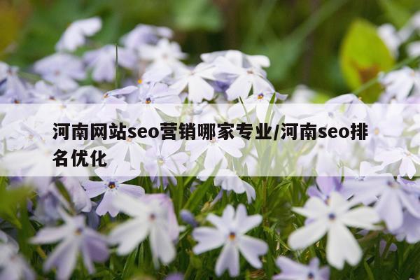 河南网站seo营销哪家专业/河南seo排名优化
