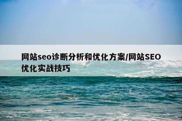 网站seo诊断分析和优化方案/网站SEO优化实战技巧