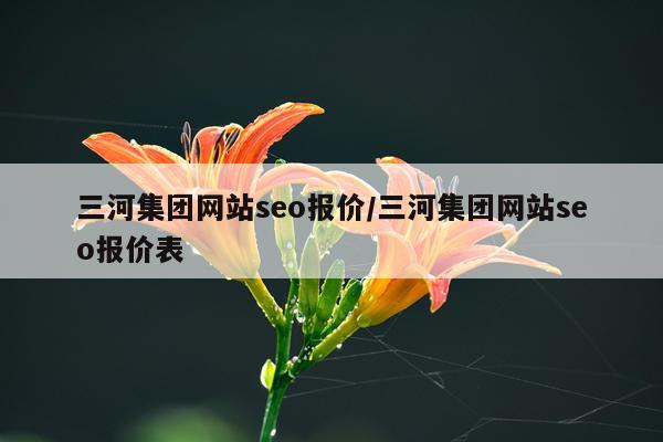 三河集团网站seo报价/三河集团网站seo报价表