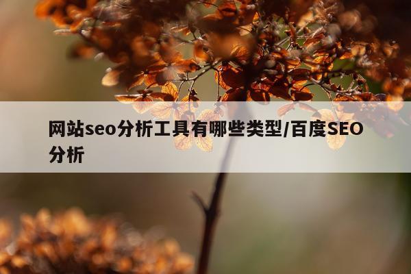 网站seo分析工具有哪些类型/百度SEO分析