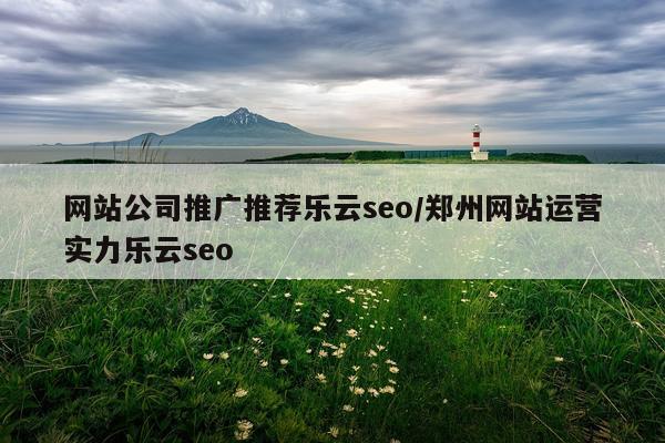 网站公司推广推荐乐云seo/郑州网站运营实力乐云seo