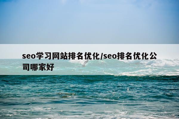 seo学习网站排名优化/seo排名优化公司哪家好