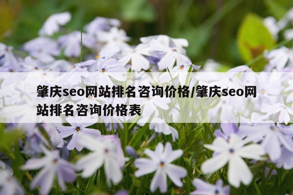 肇庆seo网站排名咨询价格/肇庆seo网站排名咨询价格表