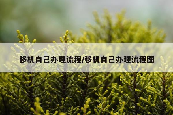 移机自己办理流程/移机自己办理流程图