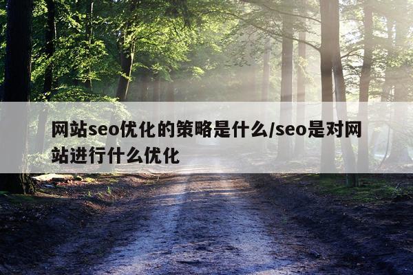 网站seo优化的策略是什么/seo是对网站进行什么优化