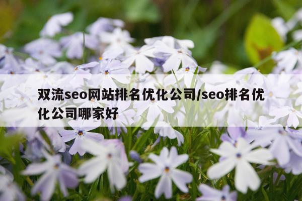 双流seo网站排名优化公司/seo排名优化公司哪家好
