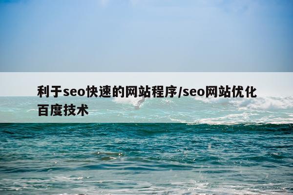 利于seo快速的网站程序/seo网站优化百度技术
