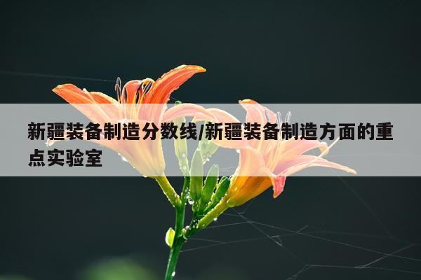 新疆装备制造分数线/新疆装备制造方面的重点实验室