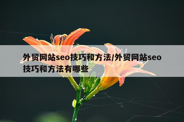 外贸网站seo技巧和方法/外贸网站seo技巧和方法有哪些