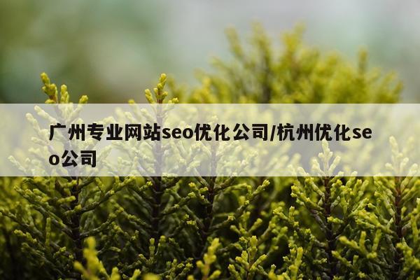 广州专业网站seo优化公司/杭州优化seo公司