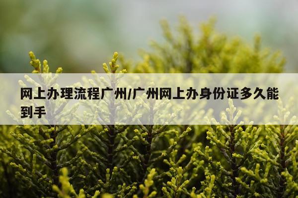 网上办理流程广州/广州网上办身份证多久能到手