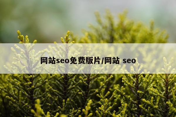 网站seo免费版片/网站 seo