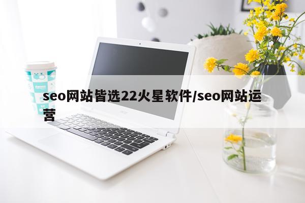 seo网站皆选22火星软件/seo网站运营