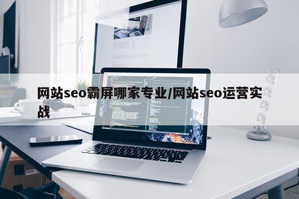 网站seo霸屏哪家专业/网站seo运营实战