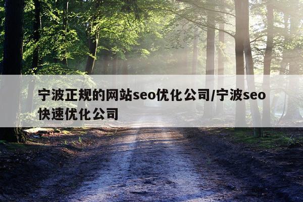 宁波正规的网站seo优化公司/宁波seo快速优化公司