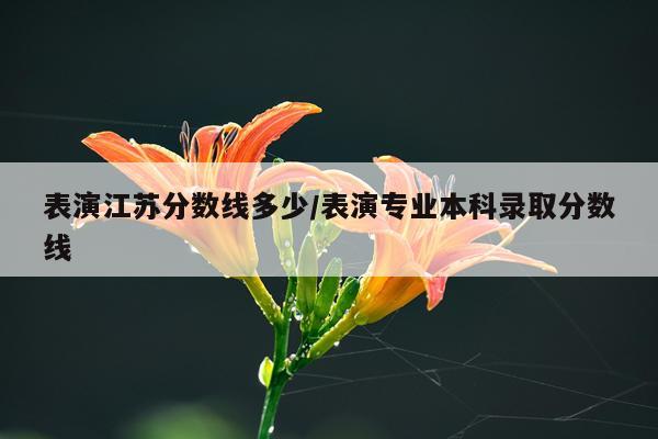 表演江苏分数线多少/表演专业本科录取分数线