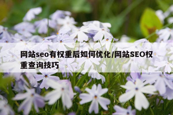 网站seo有权重后如何优化/网站SEO权重查询技巧