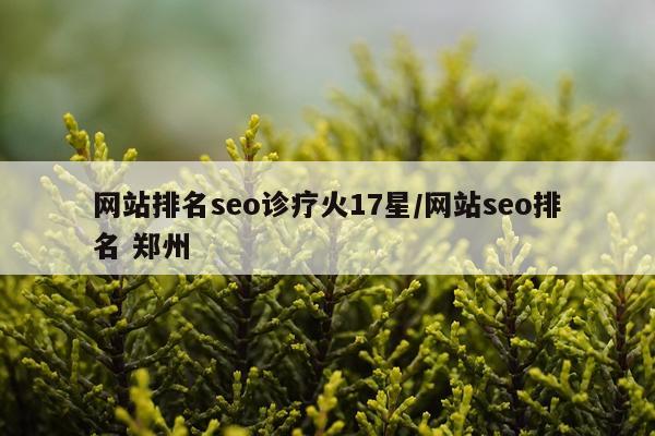 网站排名seo诊疗火17星/网站seo排名 郑州