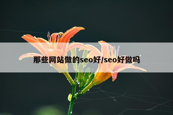 那些网站做的seo好/seo好做吗
