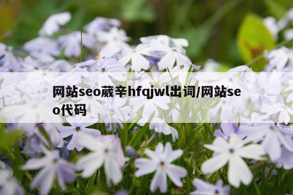 网站seo葳辛hfqjwl出词/网站seo代码