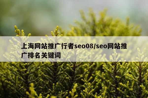 上海网站推广行者seo08/seo网站推广排名关键词