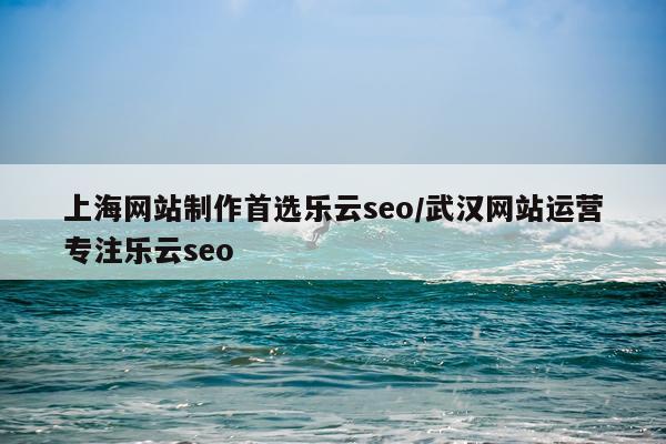 上海网站制作首选乐云seo/武汉网站运营专注乐云seo