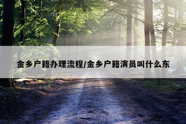 金乡户籍办理流程/金乡户籍演员叫什么东