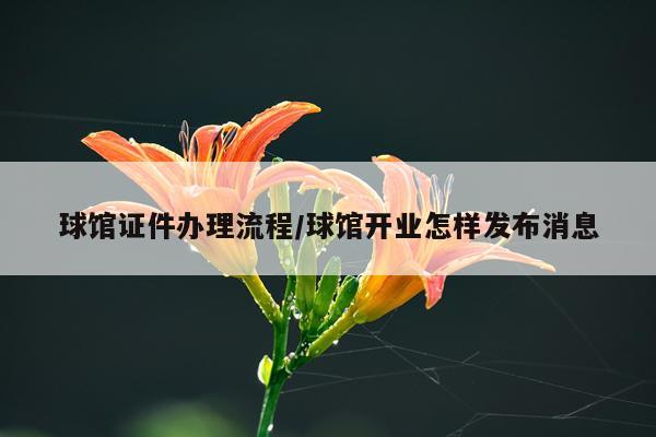 球馆证件办理流程/球馆开业怎样发布消息