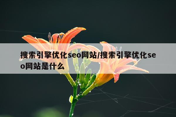 搜索引擎优化seo网站/搜索引擎优化seo网站是什么