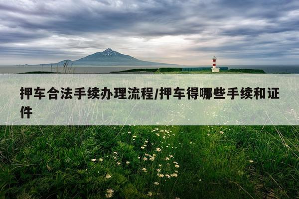押车合法手续办理流程/押车得哪些手续和证件