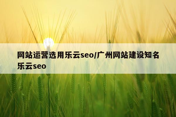 网站运营选用乐云seo/广州网站建设知名乐云seo