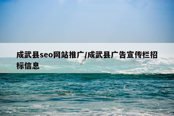 成武县seo网站推广/成武县广告宣传栏招标信息