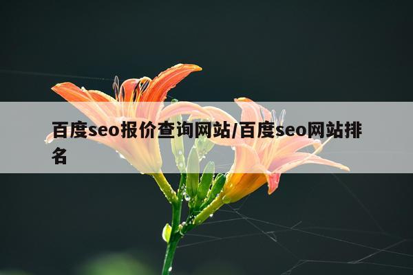 百度seo报价查询网站/百度seo网站排名