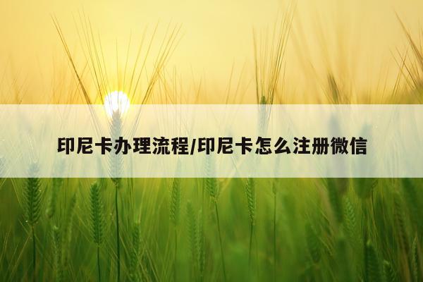 印尼卡办理流程/印尼卡怎么注册微信