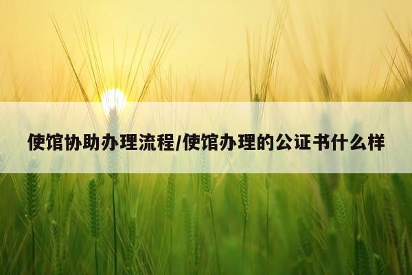 使馆协助办理流程/使馆办理的公证书什么样