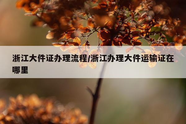 浙江大件证办理流程/浙江办理大件运输证在哪里