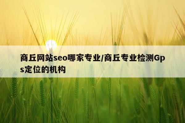 商丘网站seo哪家专业/商丘专业检测Gps定位的机构