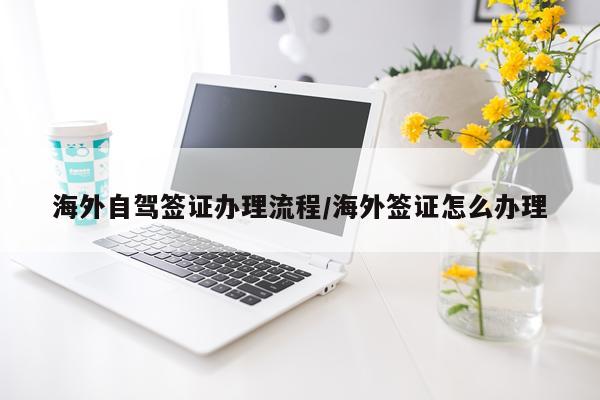 海外自驾签证办理流程/海外签证怎么办理