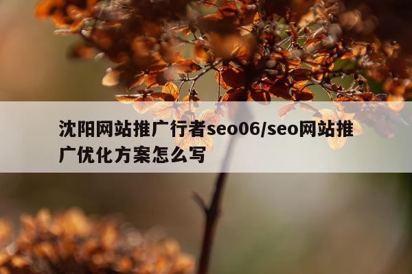 沈阳网站推广行者seo06/seo网站推广优化方案怎么写