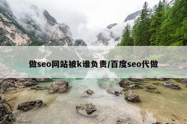 做seo网站被k谁负责/百度seo代做