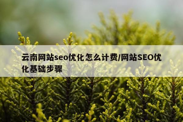 云南网站seo优化怎么计费/网站SEO优化基础步骤