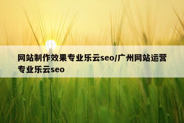 网站制作效果专业乐云seo/广州网站运营专业乐云seo