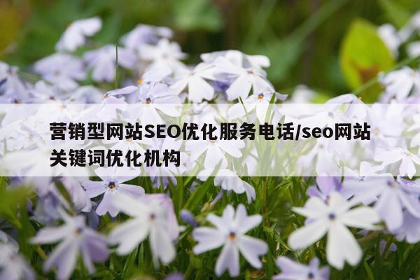 营销型网站SEO优化服务电话/seo网站关键词优化机构