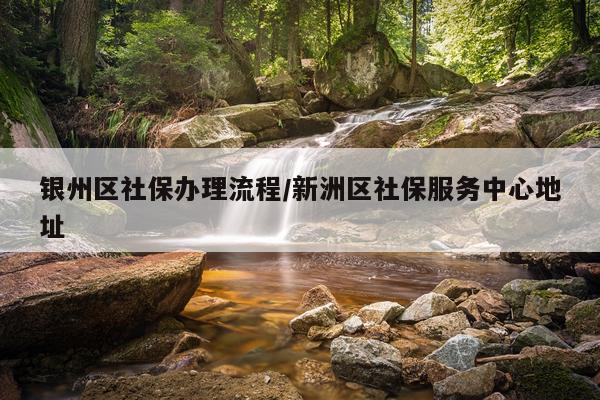 银州区社保办理流程/新洲区社保服务中心地址