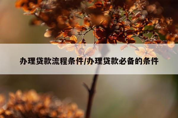 办理贷款流程条件/办理贷款必备的条件