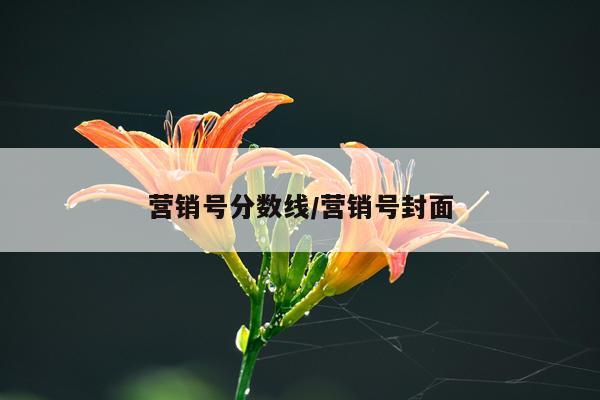 营销号分数线/营销号封面