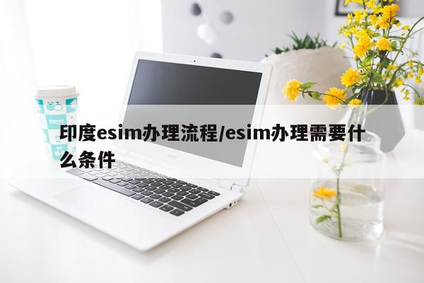 印度esim办理流程/esim办理需要什么条件