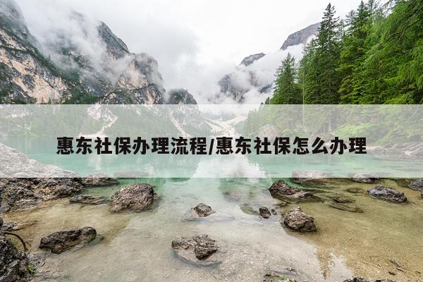 惠东社保办理流程/惠东社保怎么办理