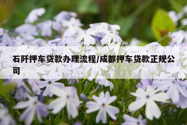 石阡押车贷款办理流程/成都押车贷款正规公司